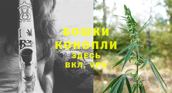 СК Бородино